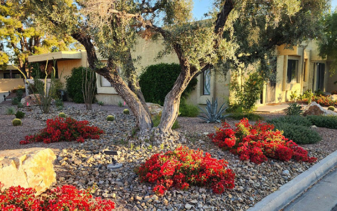 AB 1572 and the Future of Landscaping in the Coachella Valley